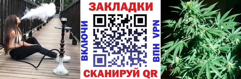 Где купить наркоту Нолинск Канабис СК Мефедрон